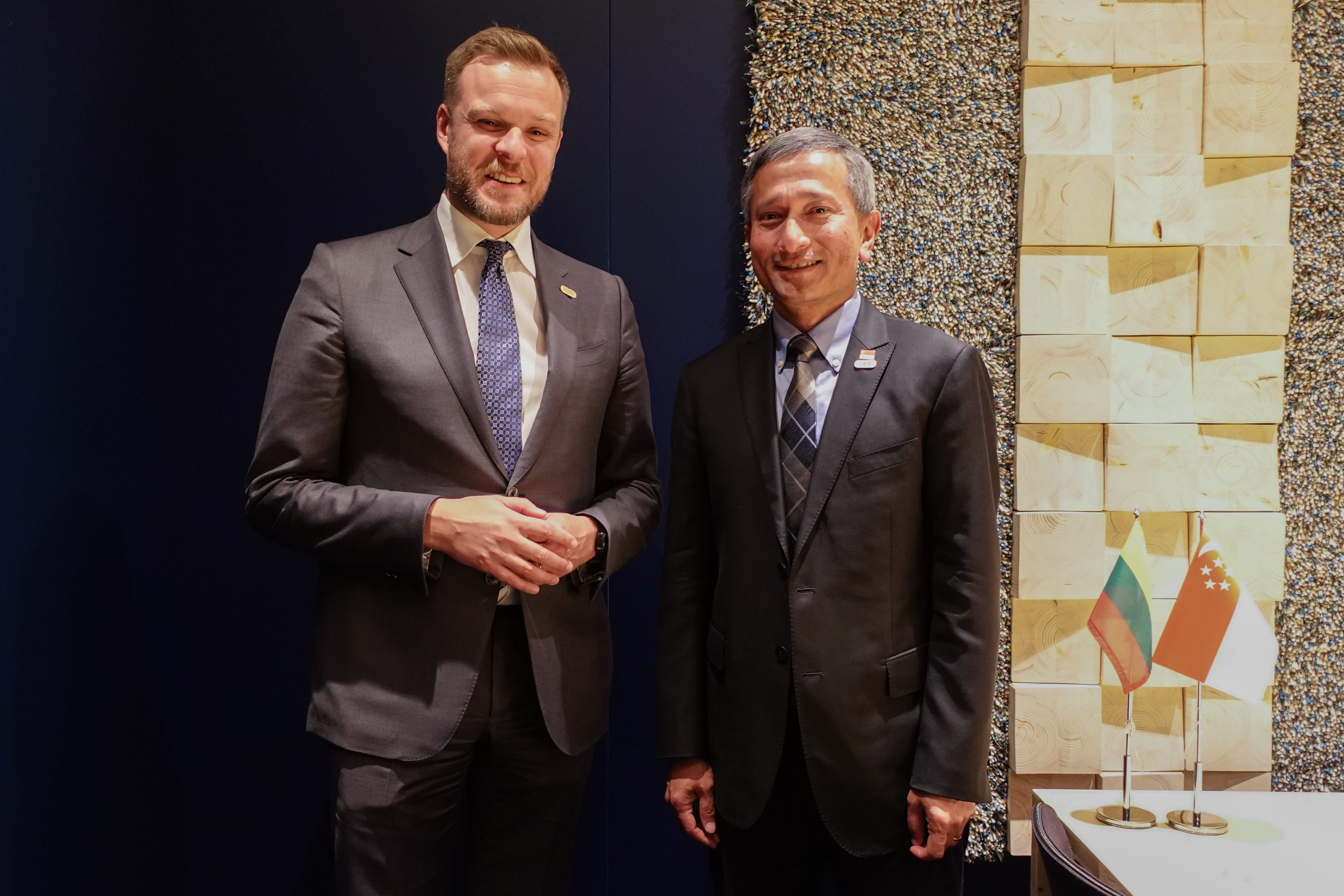 Two men in suits stand beside Lithuania and Singapore flags. Textured wall backdrop.